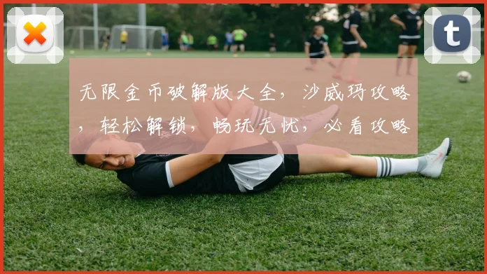 无限金币破解版大全，沙威玛攻略，轻松解锁，畅玩无忧，必看攻略，三步搞定